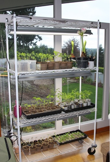 seed_starting_rack